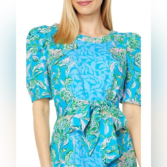 Lilly Pulitzer Harriet Dress in Color Cumulus Blue Chick Magnet Size XL - Picture 2 of 10